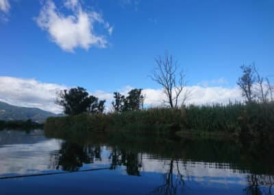 Gestion du champ captant face au biseau salé à Marana Golo